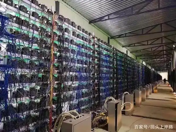 A vast mining farm hums with activity, showcasing the scale of modern cryptocurrency mining operations.