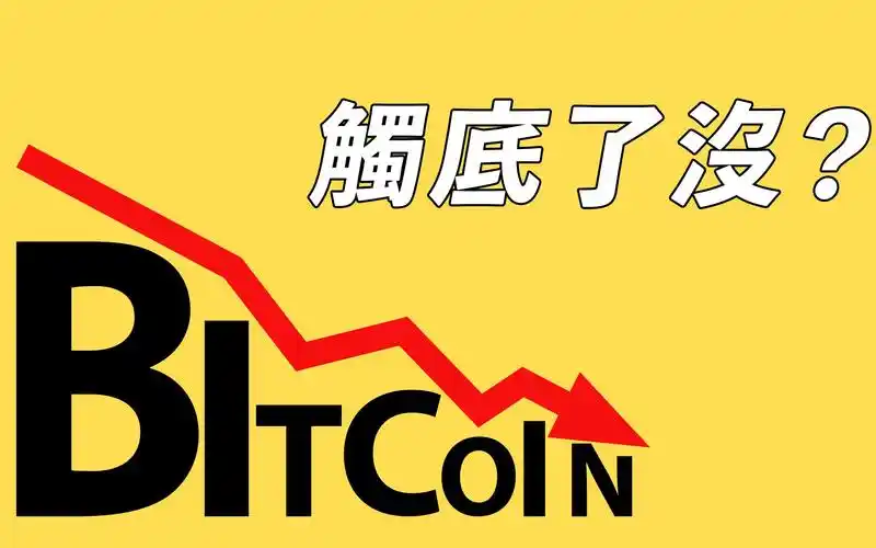 Bitcoin mining rig farm, showing the scale of modern mining operations.